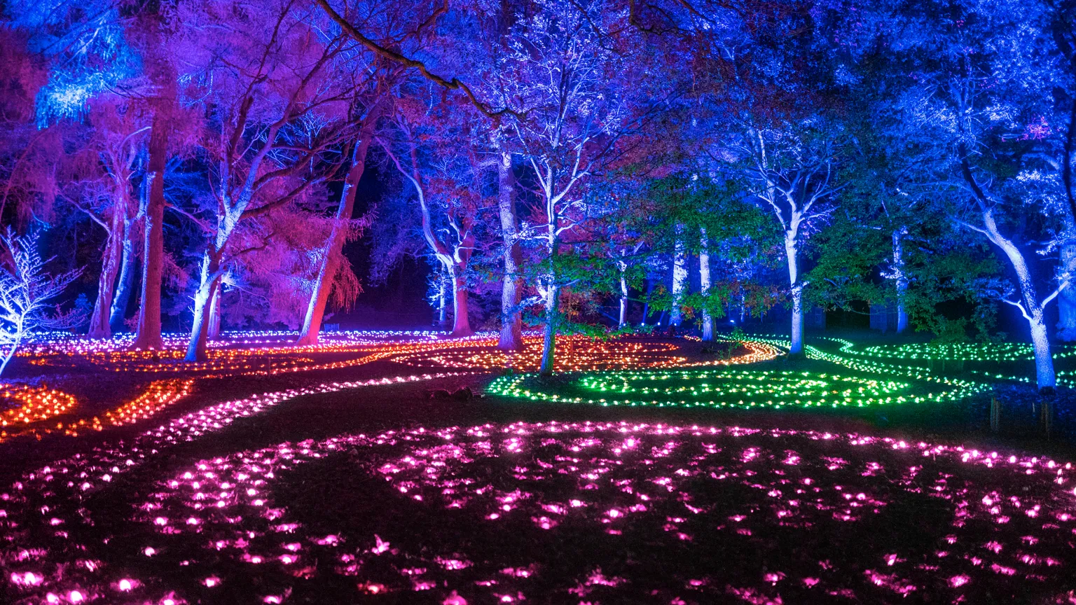 Lightscape & Visual Magic at Brooklyn Botanical Garden